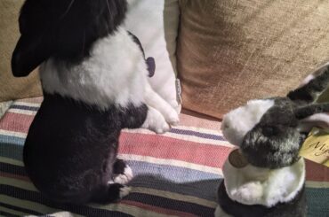 "Anything you can do I can do better"