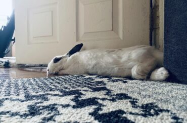 Keeping tabs on what’s happening in the living room and bedroom