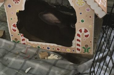 How can he sleep like this?