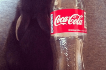 Little muffin to old man loaf. This handsome boy is coming up to his 9th birthday.