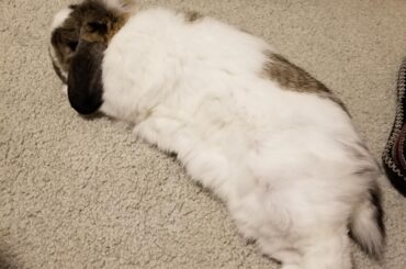 Oliver becoming a noodle