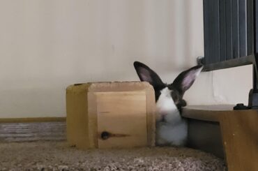The perfect napping spot.