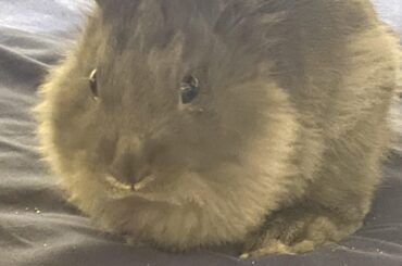 just unapologetically making a mess on my bed