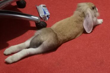 Completely normal way to sit... Lol