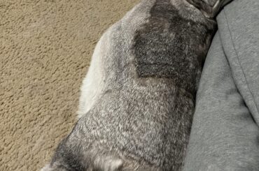 Oh, my neck, my back, my neck and my back!!