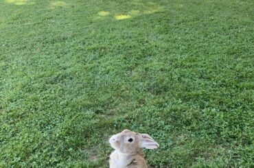 Outside time with Mr.Peter