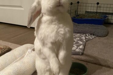 I love Conway’s smile.