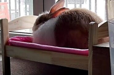 There is the bread loaf and the bed loaf...I prefer the latter 💖