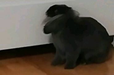 epic stand pose = super speed activation