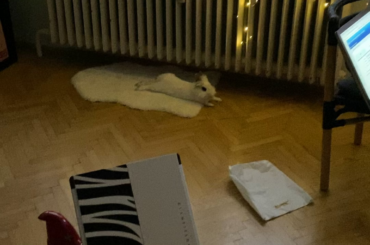 Living his best life