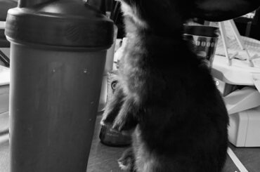 Getting big, so curious.