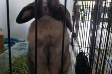 Momma get me out, I dont want to date!