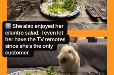 VENT: If you see this Karen bunny at your restaurant/food bar, refuse service!!!