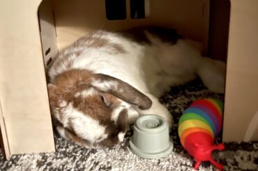 The perfect cuddle buddy… a stacking cup