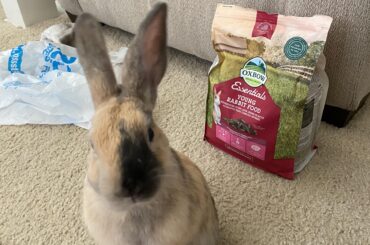 The look when you don’t open the pellet bag for him