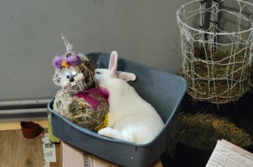 Little weirdo Waddles everyone!