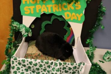 He's doing this against his will so he's like an angry bread