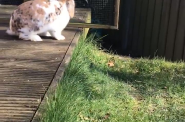 “Okay, i wont run away then😒”