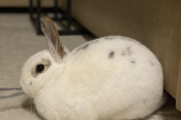 An absolute perfect 🍞