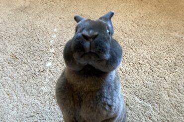 “You got any games on your phone?”