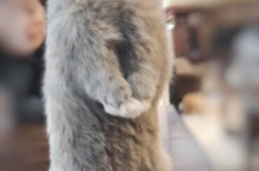 What’s up there, lil dude?