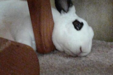 A chair leg to the throat for extra neck support while you nap