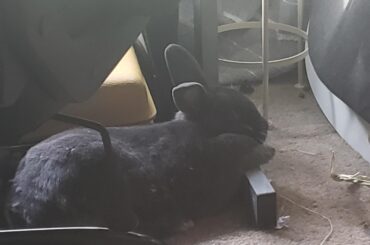 Gotta elevate the feet for max comfort!