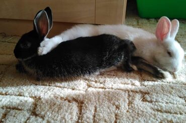 Old photo of tiny noodles.