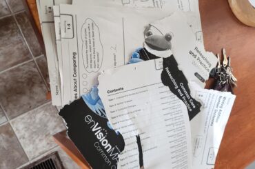 Albert found an old math book on the floor and decided he wanted to learn via consumption (x-post r/Rabbits)