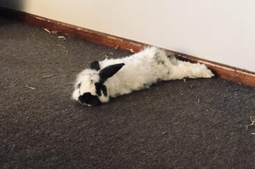 Noodling up a storm on a hot NZ day