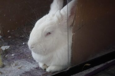 Fresh Loafs in a Box!