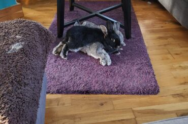 Macha, your brother is not a pillow