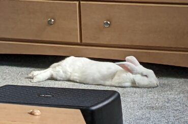 The first time I ever saw him turn into a noodle.