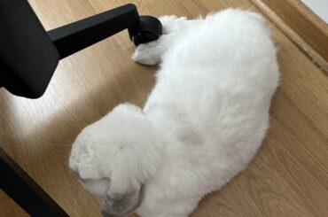 He likes to live dangerously