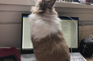 She was helping me with homework :)