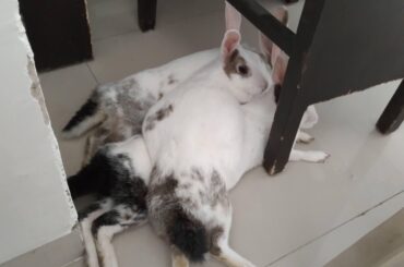 wife using daughter as a tummy rest