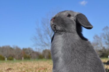 Pondering life staring out at the horizon