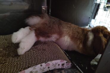 Is that comfortable?