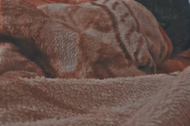 I'm not sure how to parent at this point