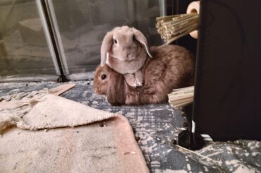 Throwback to baby buns where he liked to do this
