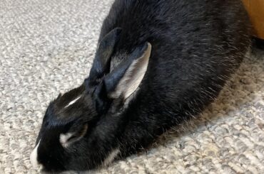 Loaf with a little bit of a (comfy) twist