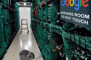 You've been a naughty bun