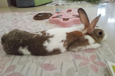 This pool noodle iz mys