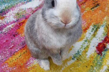 What a gorgeous lil model she is