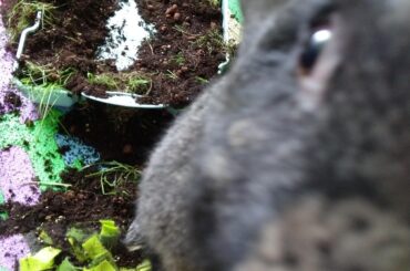 There was zero shame here.