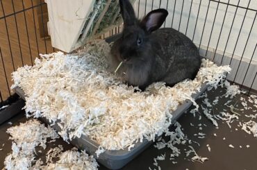 I was told this belonged here