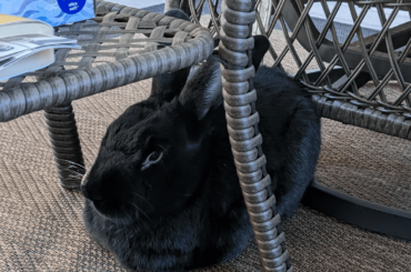 "even though I look like a burnt chicken nugget, I still love myself"