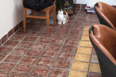 I walk away for some seconds and this is what happens..