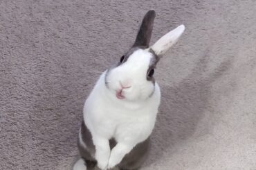 Zero privacy in this house