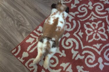 stretchin those legs